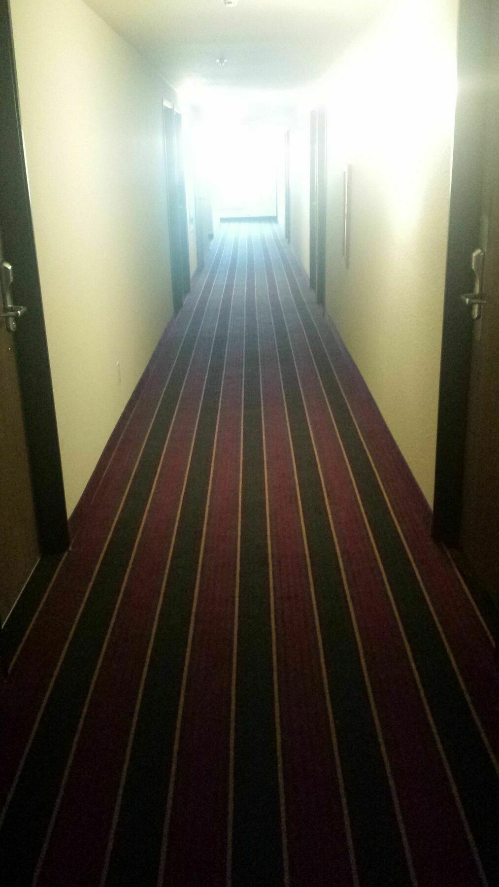 ホテル Super 8 By Wyndham レディング エクステリア 写真